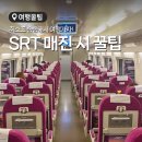 에스알티주