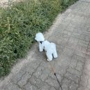 온하우스송파