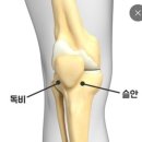 무릎 아픈데 뜸 혈자리 이미지