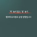 웬만해선 개들을 막을 수 없다 이미지