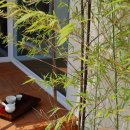 인더모은 이미지