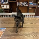 까미컴퍼니 이미지