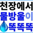 부산 상가 욕실 누수 천장 물방울 물소리 똑똑똑 이미지