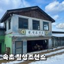 칠성조선소 속초 대형카페 애견 동반 메뉴 무료주차