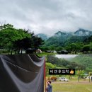 금수강산문화공원야영장(1) 네이버블로그