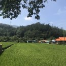 이시스 리조트 | 가평 빠지 물놀이 이시스 리조트 몸살 난 후기!