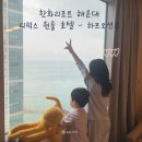 지에스(GS)25 광안한바다점 | 부산 한화리조트 해운대 - 디럭스 원룸 호텔형, 하프 오션뷰 후기