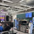 도니조아 이미지