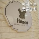 어니스트동물병원