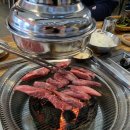은행나무갈매기 이미지