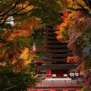 일본의 단풍명소 100 - Japan&#39;s Top 100 Autumn Leaves Spots 이미지