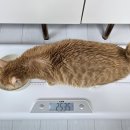 (주)모카 이미지