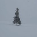 신녕천 고향의 강 공중화장실(1) | 삿포로 3일차(비에이 투어편🚌🚏❄☃🌨📸🌌)