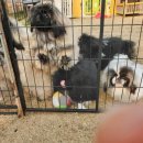 브리더하우스 이미지