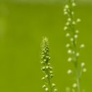 녹향제약 이미지