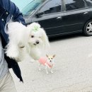원주 맛집_브런치카페 [🌲너는나의숲🍃]_엄마손맛 샌드위치+커피맛집_편히 쉬었다 갈 수 있는 곳
