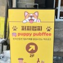 퍼피펍피 이미지