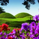 다라국황금이야기길 이미지