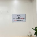강릉국시집 | [강릉] 비빔국수가 맛있는 강릉심야식당 "강릉국시집" 다녀온 후기