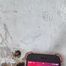 구암동353 이미지