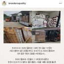 브리더스 퀄리티 이미지
