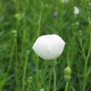 목석산방 이미지