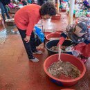 진도읍 조금시장 이미지