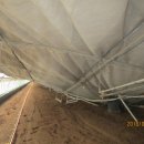 성실오리농장 이미지