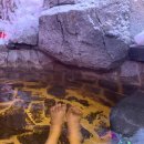 하진에너지 | 중국여행 DAY3 이도백하진 (백두산온천숙소,밀설빙성,철솥거위찜)