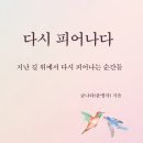 글나라출판사