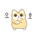 팬더돌짜장
