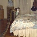 여자 침실로 들어온 뱀, 길이가 5미터 이미지