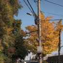 팔달산로 이미지