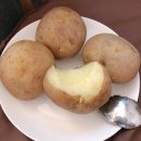 [D+172] 중고 필름카메라 구입기 / 캐논 AF35M / 캐논 오토보이1 / 삿포로 버스투어 예약