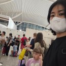 다함약국 | 발리에서 생긴 일#8/발리벨리 경험 빼고 다함