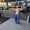 복싱 MMA 주짓수 마이티짐 이미지