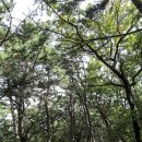 하단 경로당 이미지