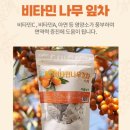 이룸푸드 | [영월이룸농장 비타민나무잎차] 천연비타민 가득한 건강차 티백세트 후기