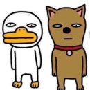 오타쿠 도쿄 여행 | 데스노트 원화전 전시회 아키하바라 방문기 2일차