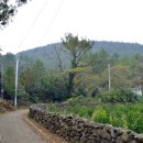 저지오름 이미지