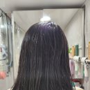 맥섬석라파건강센타 | 닥터라파알 트리트먼트 LPP 사용법, 후기, 효과 총정리 [내돈내산]