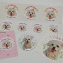 통일로 799번길 이미지