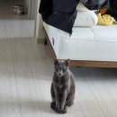 금성타이어 | 세교새댁의 1월상반기 일상::춘식이렉슨조명/음식물처리기 린클 구매/금성침대AS/폴인퍼니소파AS언제쯤..