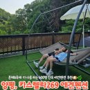문호베이커리 | 카스텔라269 양평애견펜션 600평 프라이빗 독채 서울근교 대가족펜션 추천