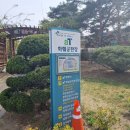 아세아분재원 | [양재] 꽃시장 화훼 공판장 분화동 방문 후기 + 영업 시간, 주차요금, 다육이, 화분