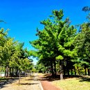 화랑유원지 옆 이미지