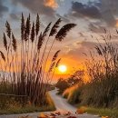 평안히 가거라 이미지