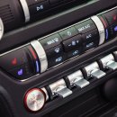 나이스모터스 | 단종됐지만 멋진 스포츠카! 포드 머스탱 feat.굿바이 포드코리아