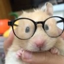 (주)투온씨씨 | [대구 달서구] 👓정밀측정! 개인맞춤 안경맛집 &#34;프리밀리&#34; 안경맞춘 솔직후기!