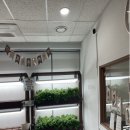 성북구치매안심센터 분소 이미지